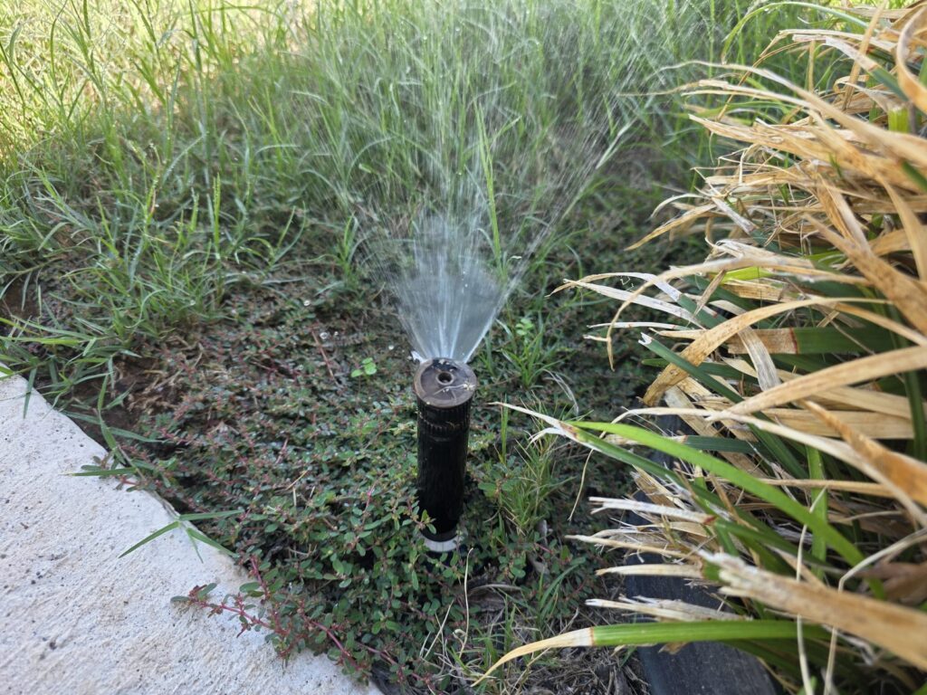 Cabeza de sprinkler funcionando durante la revisión del riego