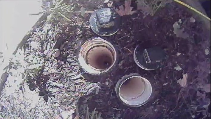 Camera view looking down at open sewer cleanouts in a flower bed