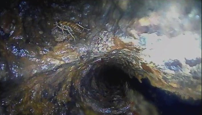 Sewer scope camera view inside a main drain line